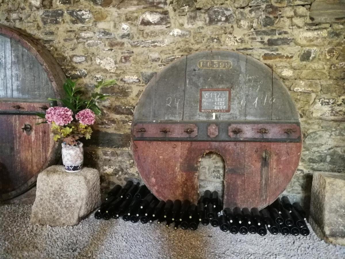 라메구 Quinta Do Fojo B&B 외부 사진