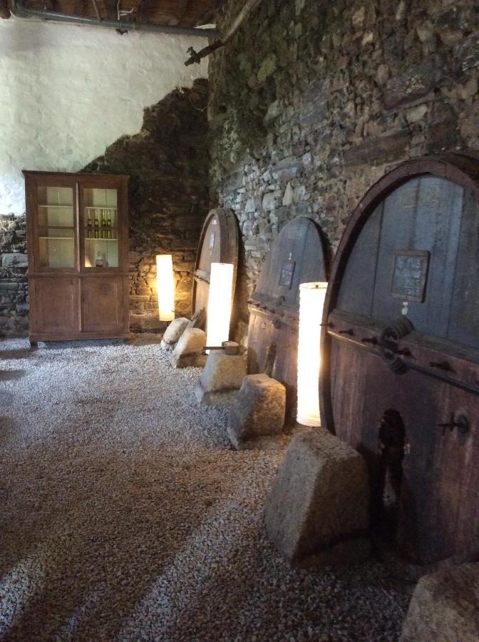 라메구 Quinta Do Fojo B&B 외부 사진