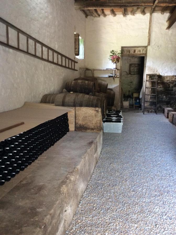 라메구 Quinta Do Fojo B&B 외부 사진