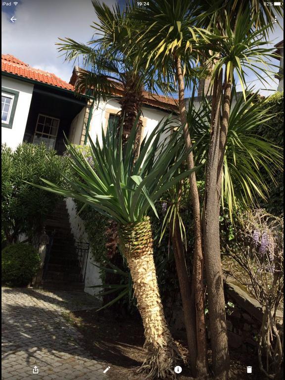 라메구 Quinta Do Fojo B&B 외부 사진