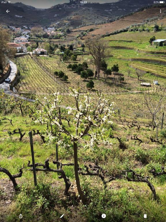 라메구 Quinta Do Fojo B&B 외부 사진