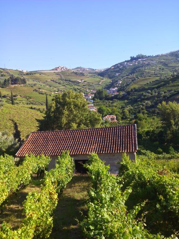 라메구 Quinta Do Fojo B&B 외부 사진